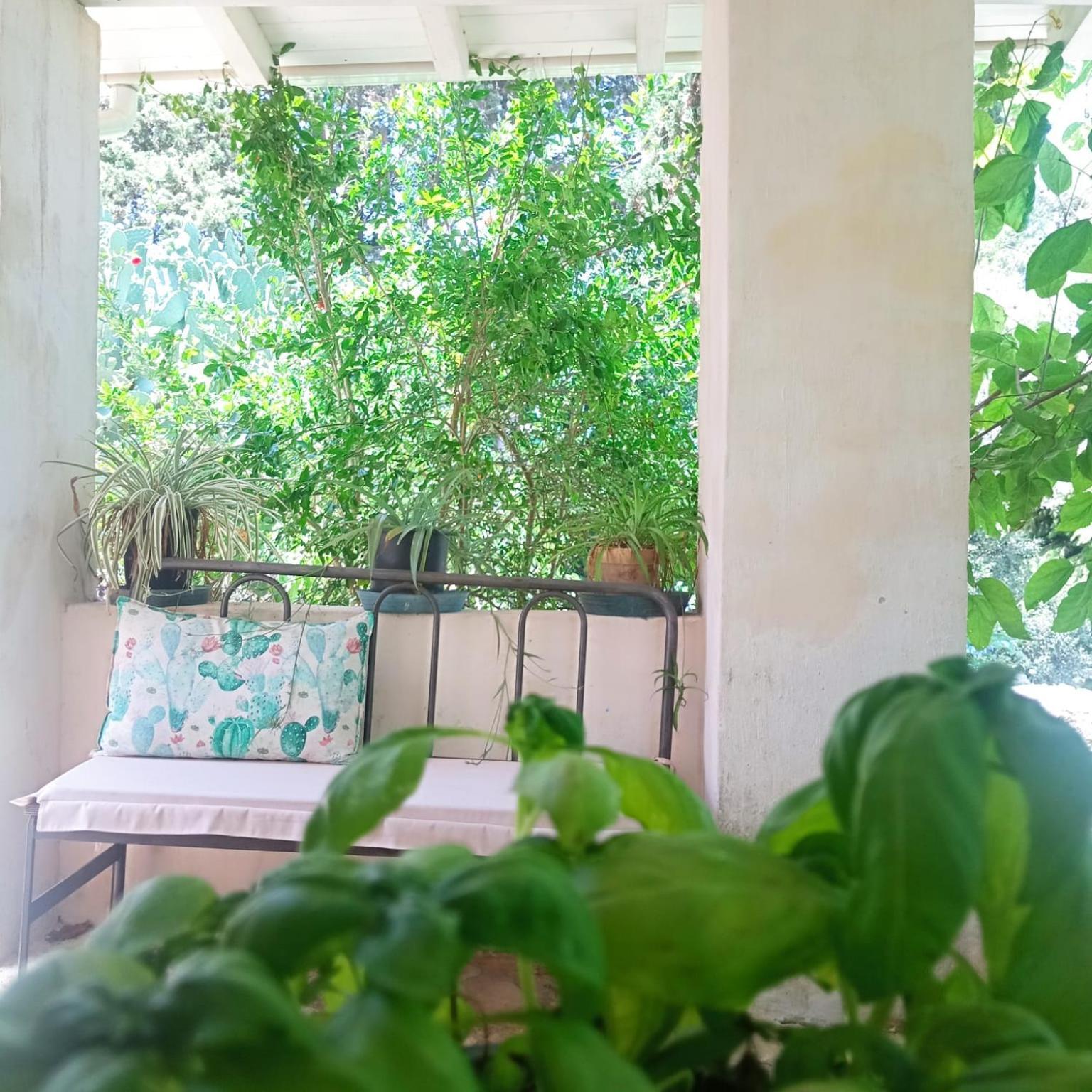 Masseria Delle Rose 1760 Alessano Phòng bức ảnh